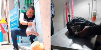 Juan Carlos Barragán un aliado permanente del cuidado y bienestar animal: Morelianos