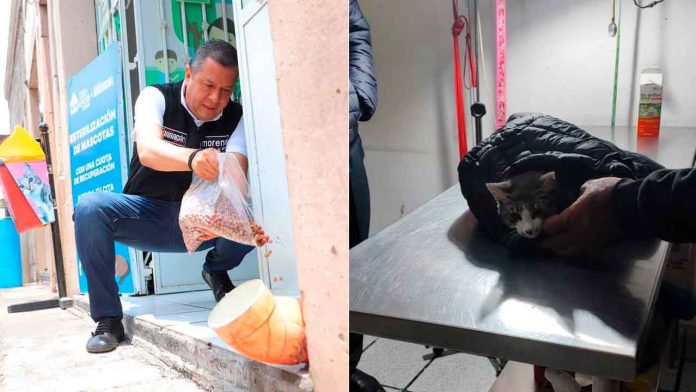 Barragan-un-aliado-permanente-del-cuidado-y-bienestar-animal