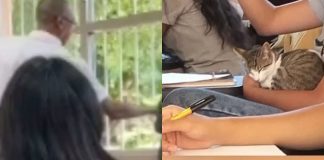 #VIDEO: Captan a profesor lanzando a un gatito desde un tercer piso en la UAEM en Morelos