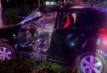 Choque de auto contra árbol deja un muerto y dos heridos en el Libramiento Norte de Morelia