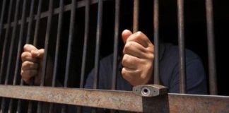 Condenan a 21 años de prisión a tres mexicanos en El Salvador por tráfico de armas Tribunal de sentencia en El Salvador donde condenaron a tres mexicanos a 21 años de prisión por tráfico de armas.