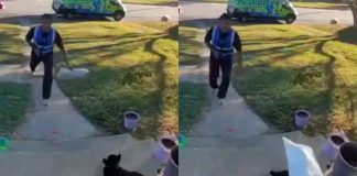 #VIDEO // Dueña denuncia a repartidor que lanzó paquete hacia su gato en Virginia
