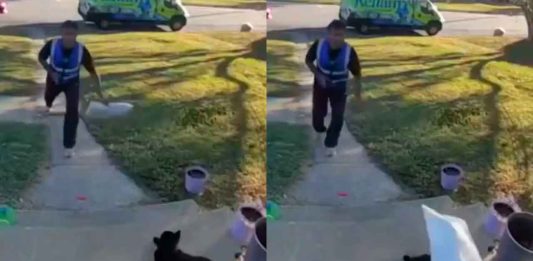 #VIDEO // Dueña denuncia a repartidor que lanzó paquete hacia su gato en Virginia