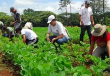#COLUMNA // Producir sin destruir: una exigencia rumbo a 2027