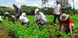 #COLUMNA // Producir sin destruir: una exigencia rumbo a 2027