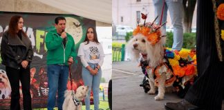 Con gran éxito, Ernesto Núñez impulsa el Mascota Fest 2026 en Morelia