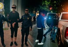 #VIDEO //Detienen a hombre señalado por envenenar perros en La Condesa; habría actuado por venganza