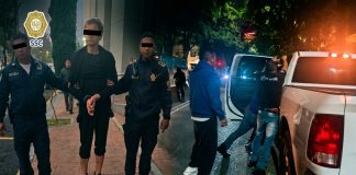 #VIDEO //Detienen a hombre señalado por envenenar perros en La Condesa; habría actuado por venganza