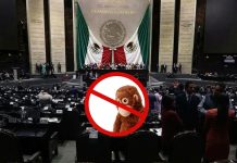¿Adiós a los memes? Diputados aprueban la llamada “Ley Antimemes” y pasa al Senado
