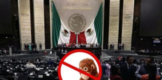 ¿Adiós a los memes? Diputados aprueban la llamada “Ley Antimemes” y pasa al Senado
