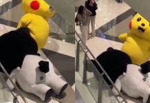 #VIDEO ¡Batalla de botargas! Pikachu “ataca” sin piedad a Kuromi en un centro comercial