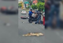 Motociclista se accidenta tras atropellar a un perro al norte de Morelia