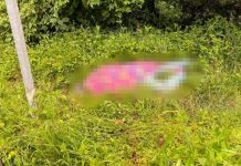 Hallan a hombre asesinado a la orilla de la carretera Zitácuaro-Toluca