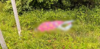 Hallan a hombre asesinado a la orilla de la carretera Zitácuaro-Toluca