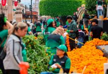 Gobierno de Morelia, escuelas y grupos sociales, dan vida a la tradición de Día de Muertos