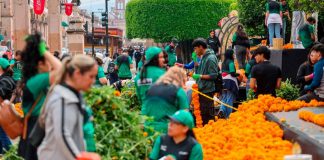 Gobierno de Morelia, escuelas y grupos sociales, dan vida a la tradición de Día de Muertos