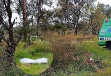 Hallan a hombre asesinado a la orilla de la carretera Morelia-Chiquimitío
