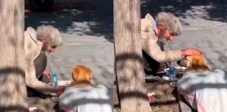 #VIDEO // Hombre en situación de calle enternece las redes al cuidar a su lomito