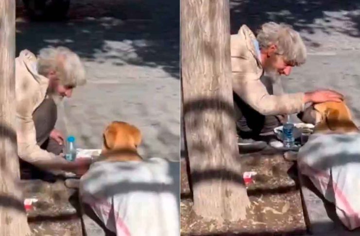#VIDEO // Hombre en situación de calle enternece las redes al cuidar a su lomito