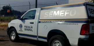 Hallan a hombre sin vida con impacto en la cabeza, en Sahuayo