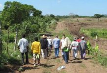 Apatzingán, entre los municipios con más desplazamiento por violencia en Michoacán