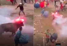 #VIDEO // Toro corre aterrorizado luego de que le encendieran fuego en la cabeza