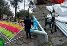 Instalará IMPA altar de 3 niveles para mascotas y animales rescatados en Morelia