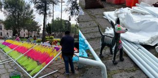 Instalará IMPA altar de 3 niveles para mascotas y animales rescatados en Morelia