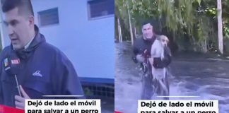 VIDEO// Interrumpe periodista transmisión en vivo para rescatar a perro atrapado en inundación Cronista de televisión cargando a un perro tras rescatarlo de las aguas durante el desborde del río Paraná.