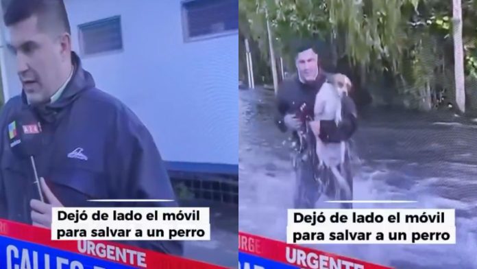 Cronista de televisión cargando a un perro tras rescatarlo de las aguas durante el desborde del río Paraná.