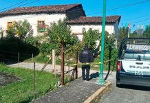 Localizan a joven sin vida en la Tenencia de Coatepec de Morelos, Zitácuaro