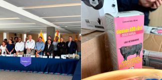 Morelia activa comité para frenar gusano barrenador; alistan atención para mil 500 cabezas de ganado