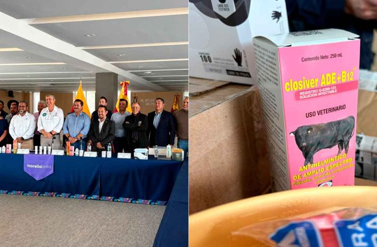 Morelia activa comité para frenar gusano barrenador; alistan atención para mil 500 cabezas de ganado