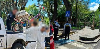 Muere ciclista de 69 años tras sufrir caída en el Jardín de San Diego, en Morelia