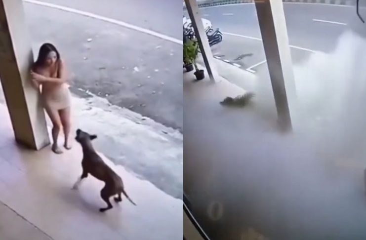 #VIDEO // Perro alerta a joven y le salva la vida antes del desplome de un edificio