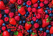 Producción de berries deja riqueza en Tangancícuaro, pero también retos ambientales y sociales, reconoce alcalde