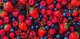 Producción de berries deja riqueza en Tangancícuaro, pero también retos ambientales y sociales, reconoce alcalde