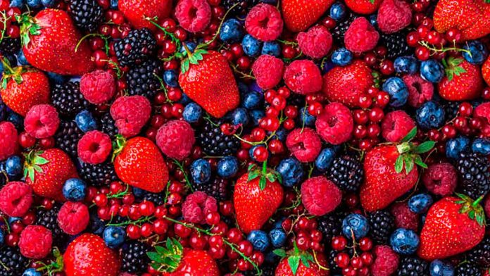 Produccion-de-berries