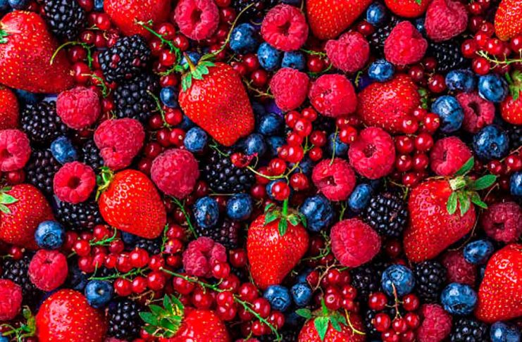 Producción de berries deja riqueza en Tangancícuaro, pero también retos ambientales y sociales, reconoce alcalde