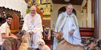 Sacerdote en Brasil lleva perritos rescatados a misa para darlos en adopción El sacerdote brasileño João Paulo Araújo Gomes oficiando misa acompañado de tiernos perritos rescatados que buscan ser adoptados.