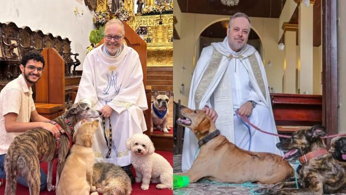Sacerdote en Brasil lleva perritos rescatados a misa para darlos en adopción El sacerdote brasileño João Paulo Araújo Gomes oficiando misa acompañado de tiernos perritos rescatados que buscan ser adoptados.