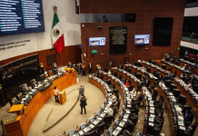 ¿Adiós al efectivo? Diputados aprueban nueva Ley de Economía Digital
