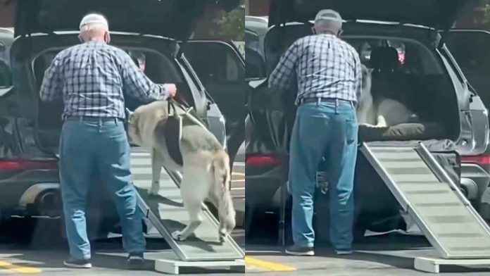 Señor-le-hace-tobogan-a-su-perrito-para-subir