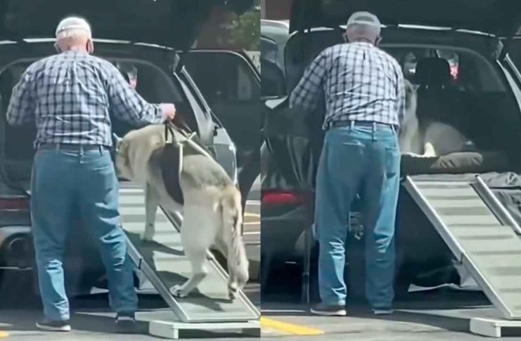 #VIDEO // Hombre construye rampa especial para ayudar a su perrito a subir al auto