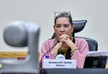 ¿Qué pasará con el INE tras la renuncia de Guadalupe Taddei? Así elegirán a su sucesor