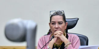 ¿Qué pasará con el INE tras la renuncia de Guadalupe Taddei? Así elegirán a su sucesor
