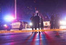 Suman 8 asesinatos en 24 horas en Guanajuato tras brutal ola de ataques