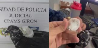 #VIDEO // ¡’Narco-palomas’ al descubierto! El ingenioso método para ingresar contrabando a una cárcel de Ibagué