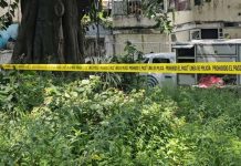 Rescatan 4 cuerpos de fosa clandestina en colonia de Guadalajara; colectivos mantienen búsqueda con georradar