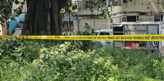 Rescatan cuatro cuerpos de fosa clandestina en colonia de Guadalajara; colectivos mantienen búsqueda con georradar
